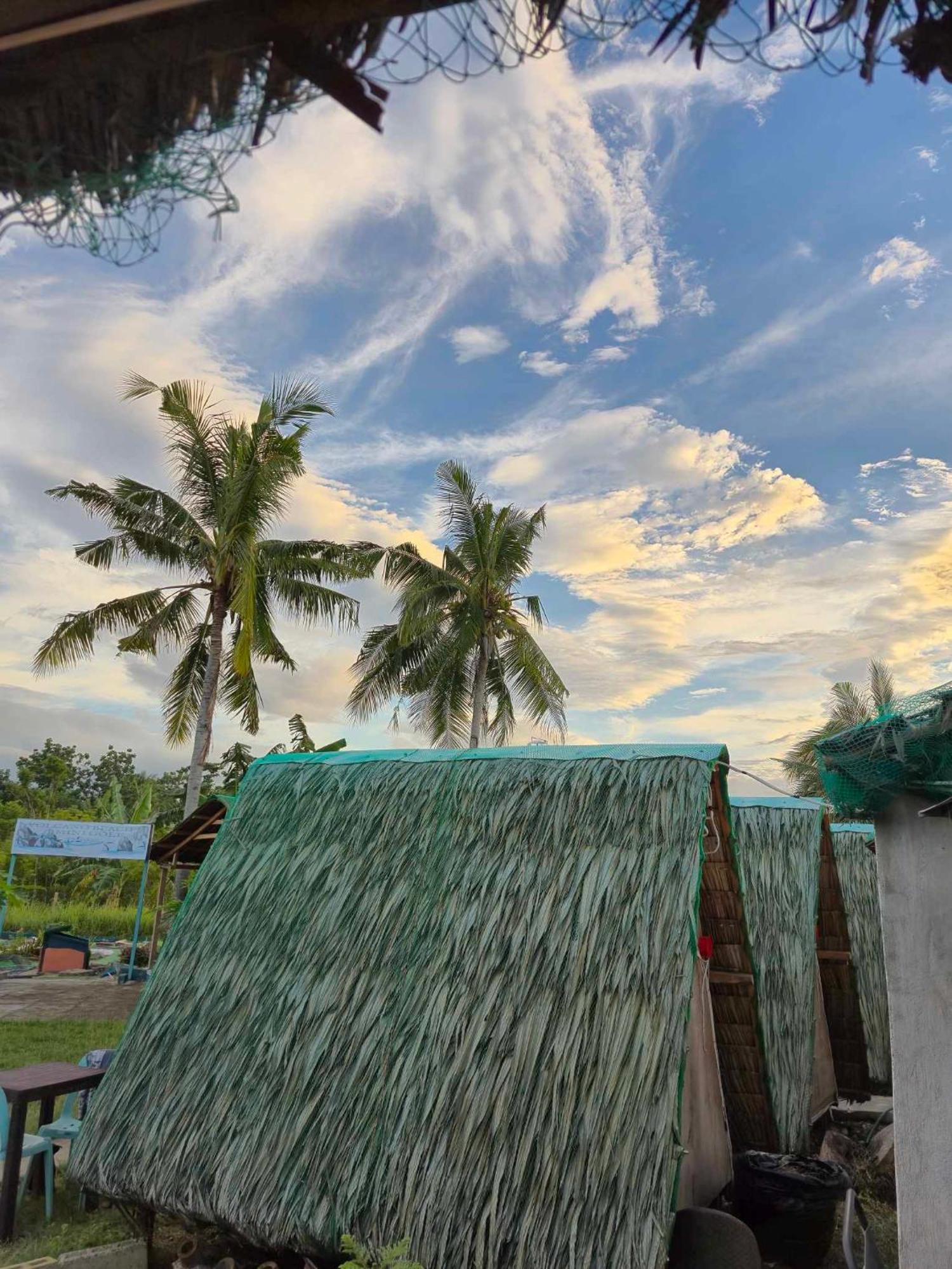 Nirvana Resort & Dive Centre - Moalboal Exteriör bild